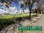 Immagine 13
