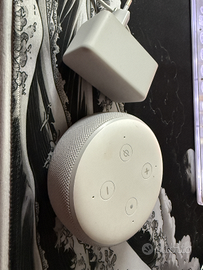 Echo Amazon