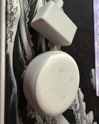 Echo Amazon