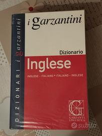 Dizionari scolastici 