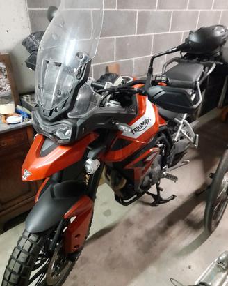moto triumph tiger gt pro 900