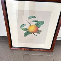 Quadro con stampa frutta