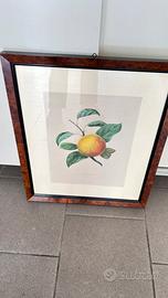 Quadro con stampa frutta