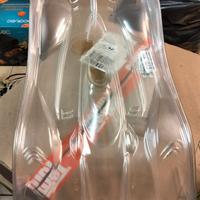 carrozzeria capricorn 