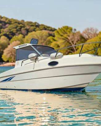 Barca da pesca SAVER