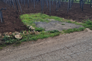 Terreno vigneto