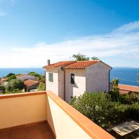 Bougainvillea primo piano