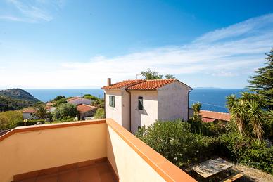 Bougainvillea primo piano