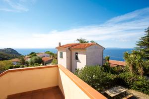 Bougainvillea primo piano
