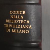 Il Codice Hammer di Leonardo da Vinci