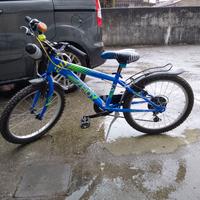 Bicicletta bambino ruote del 20