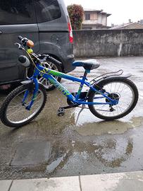 Bicicletta bambino ruote del 20