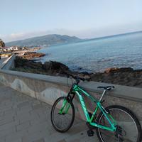 Bici SBK 