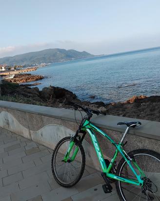 Bici SBK 