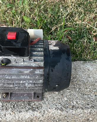 Motore di macchinetta per pomodori