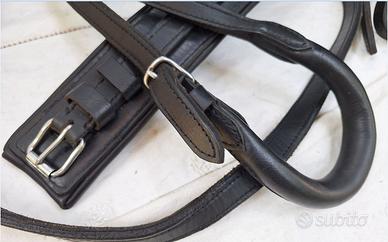 Pariglia di finimenti per cavalli da attacco