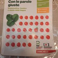 Con le parole giuste,  grammatica,  lessico e stor