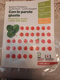 Con le parole giuste,  grammatica,  lessico e stor