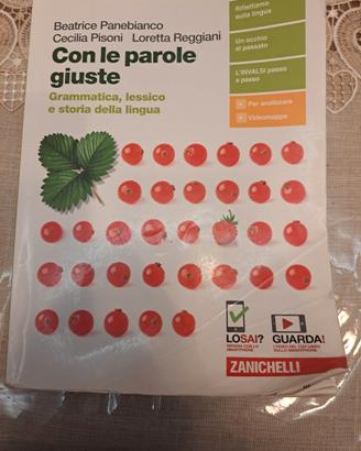 Con le parole giuste,  grammatica,  lessico e stor