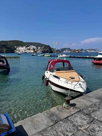 Barca Natante - Stama 20