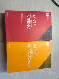 Dante inferno e purgatorio