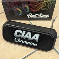 Speaker Bluetooth con luci 20w