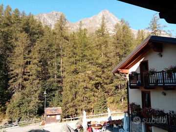 Bilocale Champoluc- Saint Jacques 3/5posti letto