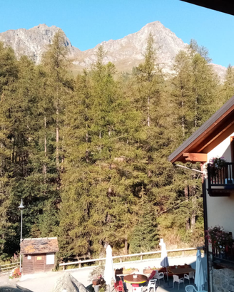 Bilocale Champoluc- Saint Jacques 3/5posti letto