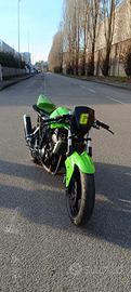 kawasaki ninja 250 allenamento 