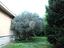 Immagine 22