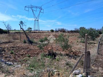 TER. AGRICOLO A NARDÒ
