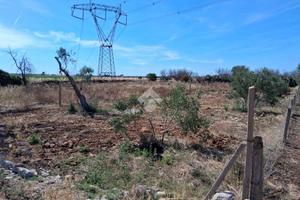 TER. AGRICOLO A NARDÒ