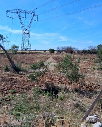 TER. AGRICOLO A NARDÒ