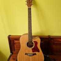 Chitarra acustica Singer's days con custodia