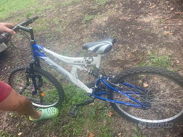 Bicicletta