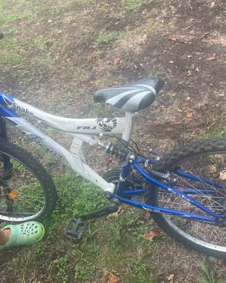 Bicicletta