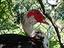 Immagine 4