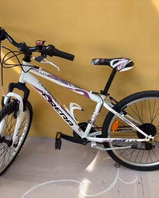 bicicletta per bambini