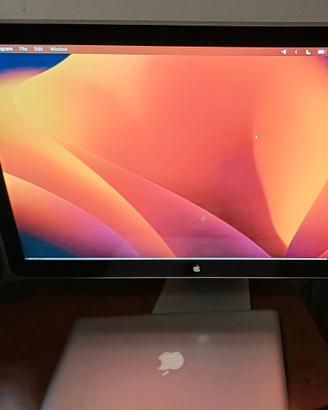 macbook pro 13", Cinema Display, magic mouse