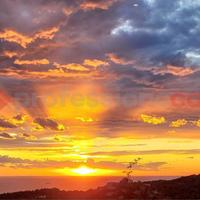 Casa Indipendente Livorno [3572VRG]