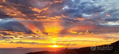 Casa Indipendente Livorno [3572VRG]