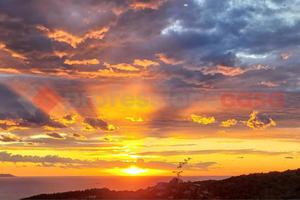 Casa Indipendente Livorno [3572VRG]