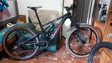 specialized 