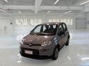 fiat-panda-1-0-firefly-70cv-s-s-hybrid-panda