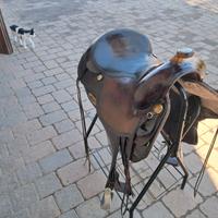 Sella Western Billy Cook