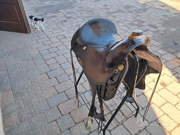 Sella Western Billy Cook