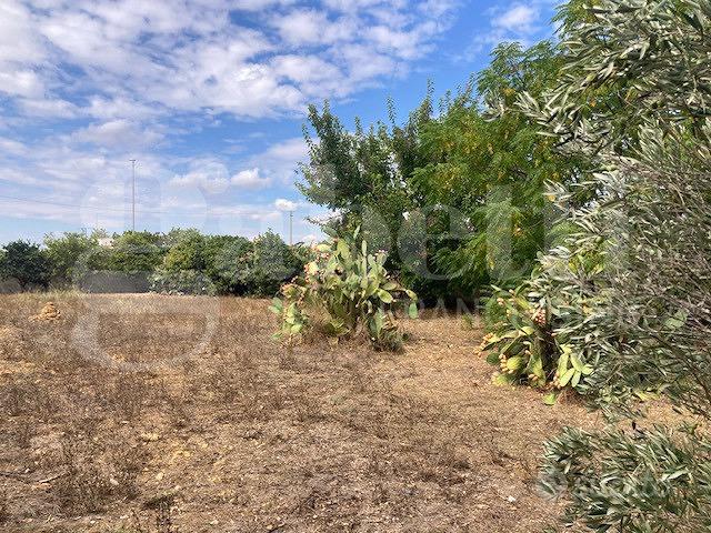 Terreno Residenziale Cellino San Marco - Vista 5