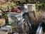 Immagine 2