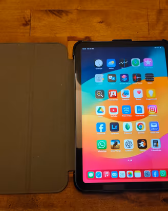 iPad Mini 6 256GB Wi-Fi - Pari al Nuovo (47 cicli)