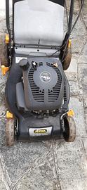 tagliaerba alpina a benzina 150 cc.